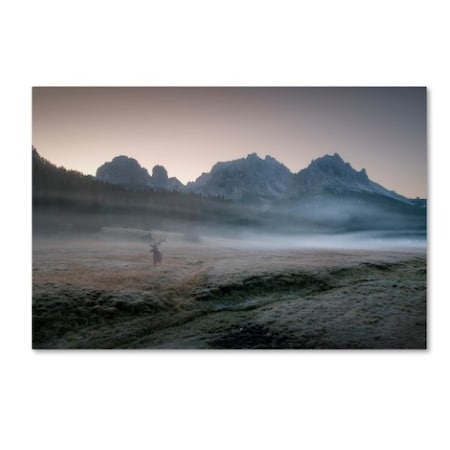 Trademark Fine Art Inigo Cia 'Misty Morning' Canvas Art, 16x24 1X02324-C1624GG